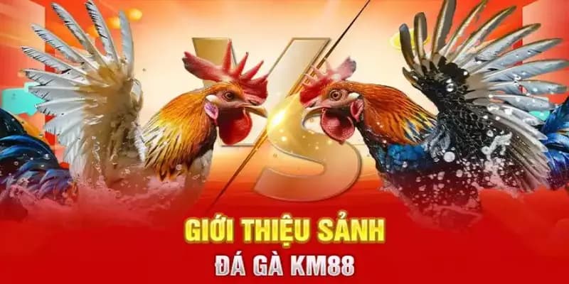 Thông tin về sảnh cược