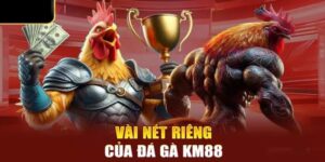 Vài ưu điểm nổi bật